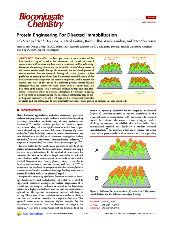 (PDF) Protein Engineering For Directed Immobilization Erik Steen