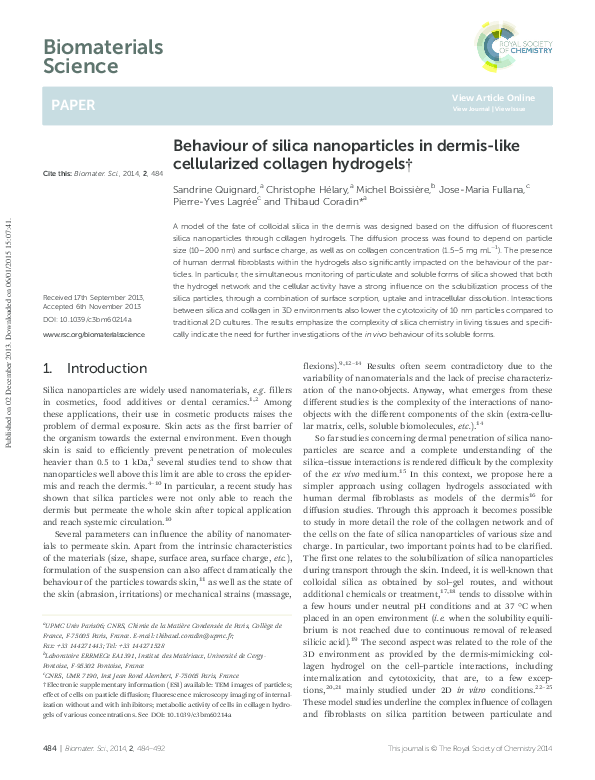 (PDF) Behaviour of silica nanoparticles in dermis-like cellularized ...