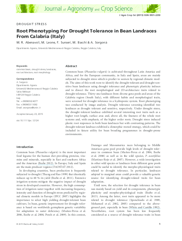 (PDF) Root Phenotyping For Drought Tolerance in Bean Landraces From ...