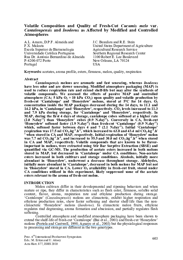 Study of cucumis melo var golden queen essay 08 picture