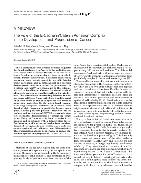 (PDF) The Role of the E-Cadherin/Catenin Adhesion Complex in the ...