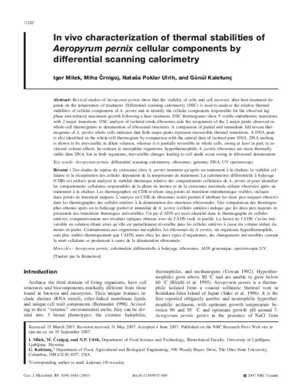 Aeropyrum pernix essay picture