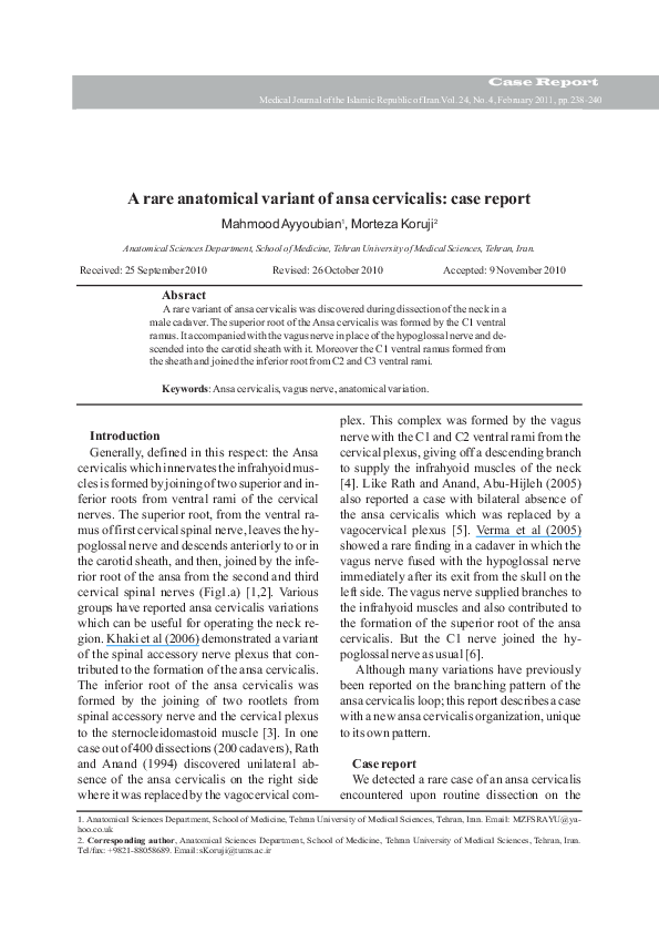 (PDF) A rare anatomical variant of ansa cervicalis: case report