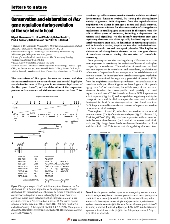 (PDF) Conservation and elaboration of Hox gene regulation during ...