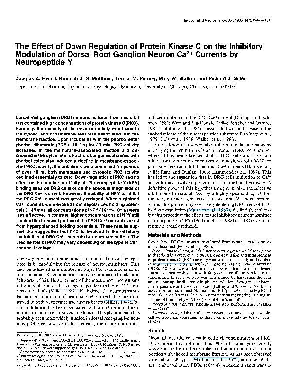 (PDF) The effect of down regulation of protein kinase C on the ...