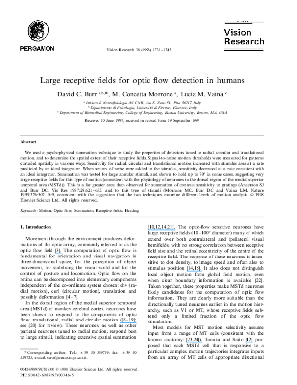 (PDF) Large receptive fields for optic flow detection in humans