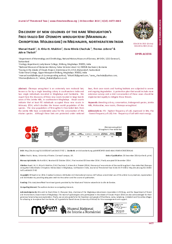 (PDF) Discovery of new colonies of the rare Wroughton’s Freetailed Bat