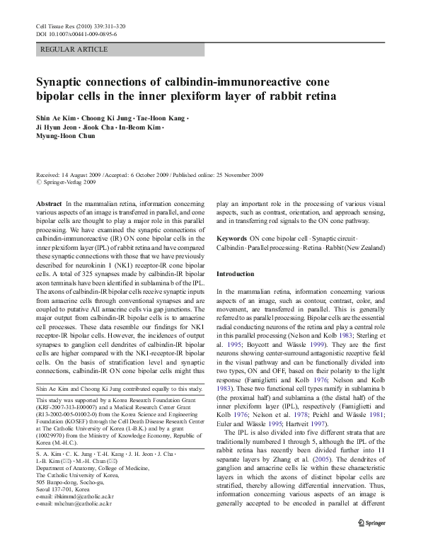 (PDF) Synaptic connections of calbindin-immunoreactive cone bipolar ...