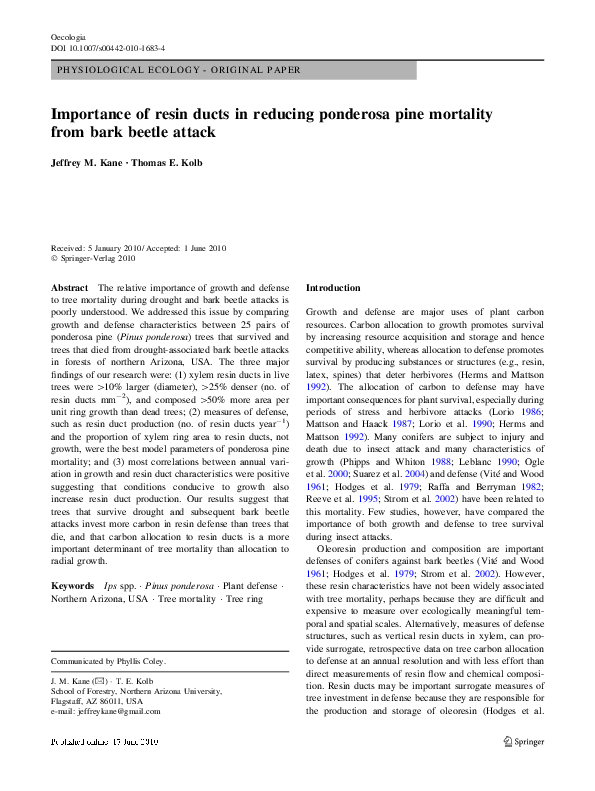 Bark beetle damage picture