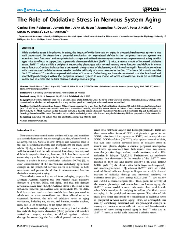 (PDF) The Role of Oxidative Stress in Nervous System Aging