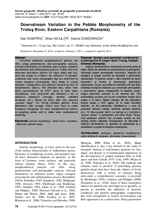 Essay the pebble people picture