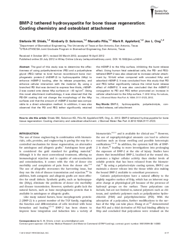 Bmp term paper 04 image