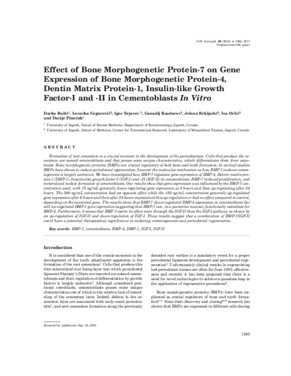 (PDF) Effect of Bone Morphogenetic Protein-7 on Gene Expression of Bone ...