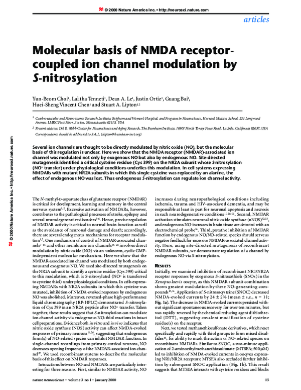 (PDF) Molecular basis of NMDA receptor-coupled ion channel modulation ...