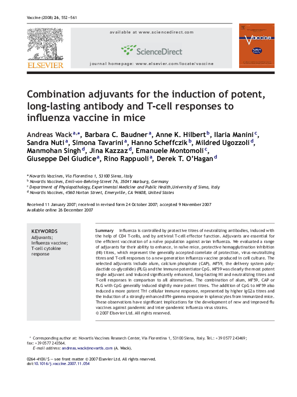 Essay simona manini 06 image