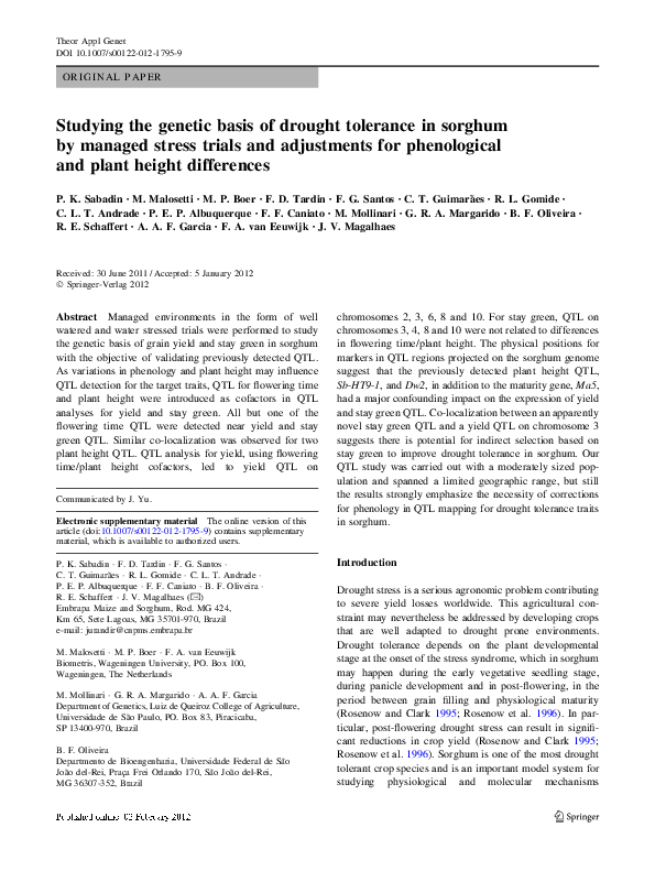 (PDF) Studying the genetic basis of drought tolerance in sorghum by ...