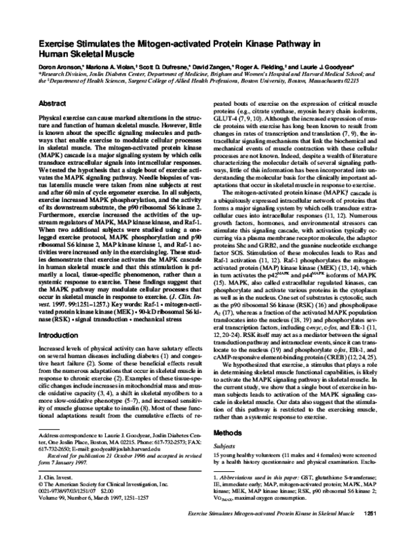 (PDF) Exercise stimulates the mitogen-activated protein kinase pathway ...