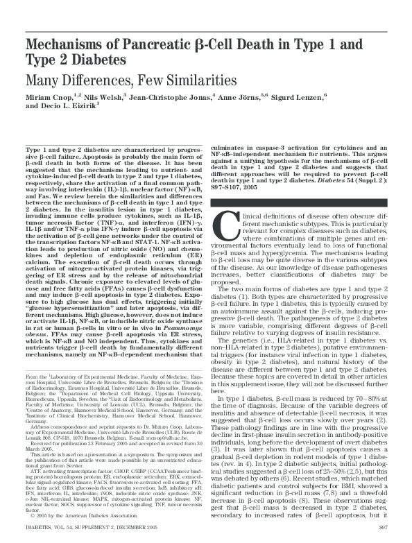 (PDF) Mechanisms of Pancreatic -Cell Death in Type 1 and Type 2 ...
