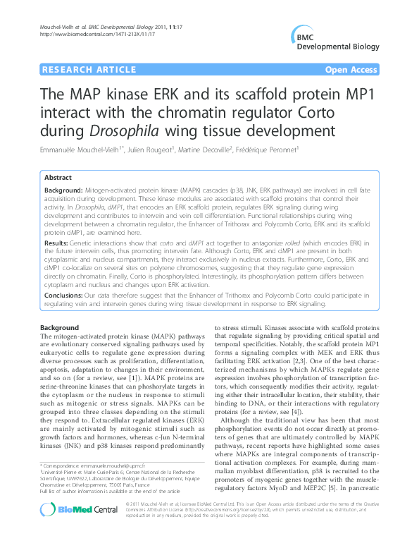 (PDF) The MAP kinase ERK and its scaffold protein MP1 interact with the ...