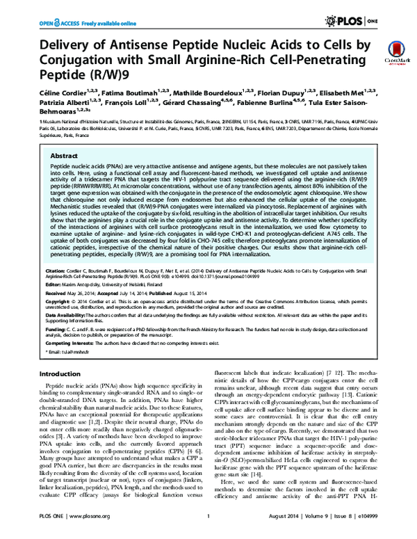 (PDF) Delivery of Antisense Peptide Nucleic Acids to Cells by ...