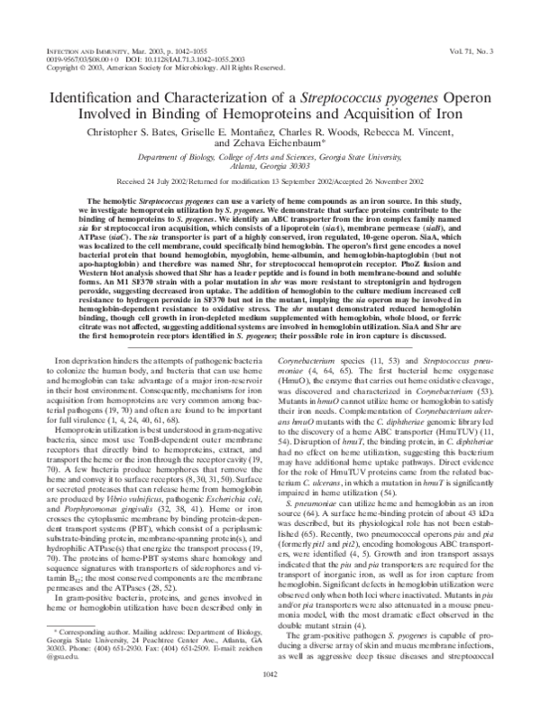 (PDF) Identification and Characterization of a Streptococcus pyogenes ...