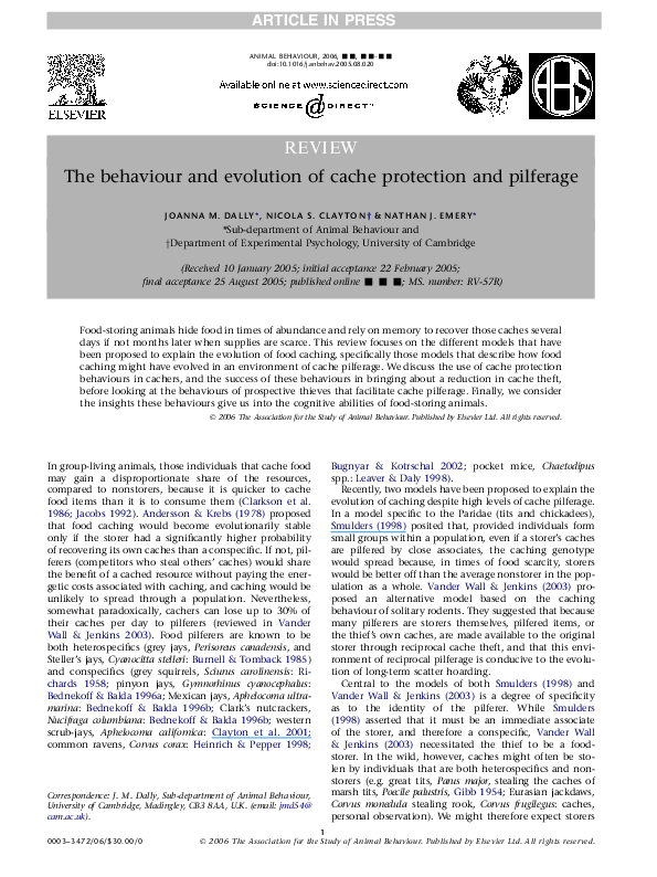 Pilferage essay image