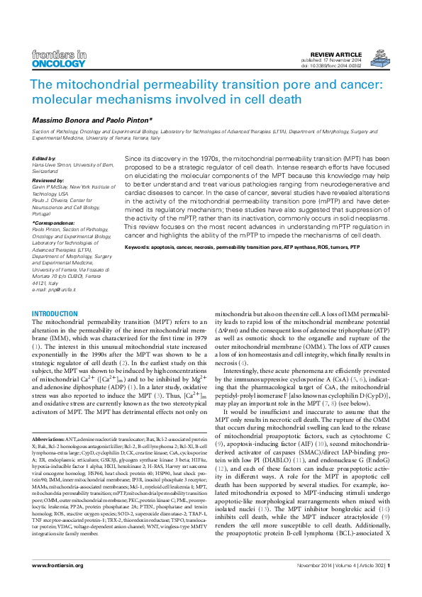 (PDF) The mitochondrial permeability transition pore and cancer ...