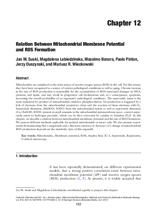 Mitochondrial research paper picture