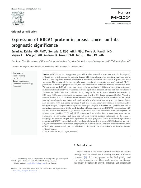 (PDF) Expression of BRCA1 protein in breast cancer and its prognostic ...