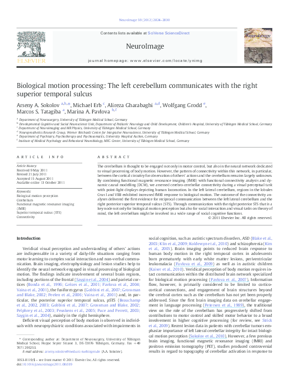 (PDF) Structural Loop Between the Cerebellum and the Superior Temporal ...
