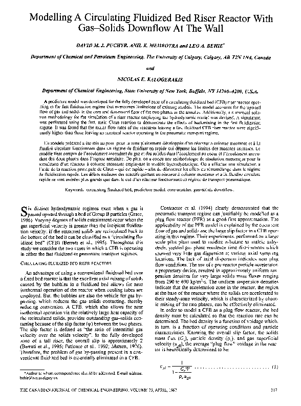(PDF) Modelling a circulating fluidized bed riser reactor with gas ...