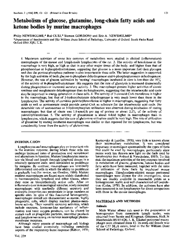 (PDF) Metabolism of glucose, glutamine, long-chain fatty acids and ...