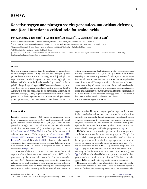 (PDF) Reactive oxygen and nitrogen species generation, antioxidant ...