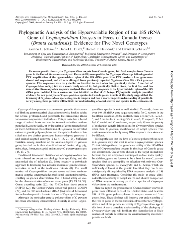(PDF) Phylogenetic Analysis of the Hypervariable Region of the 18S rRNA ...