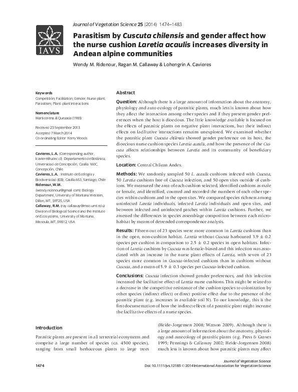 Dodder plant medicinal uses picture