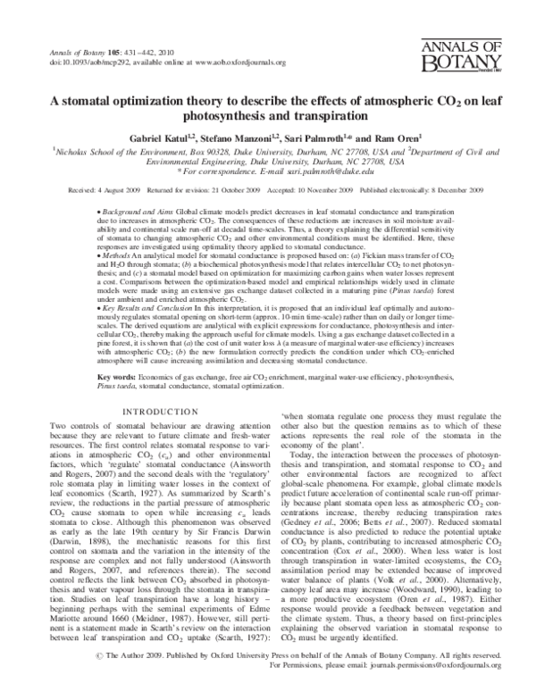What is the function of stomata quizlet picture