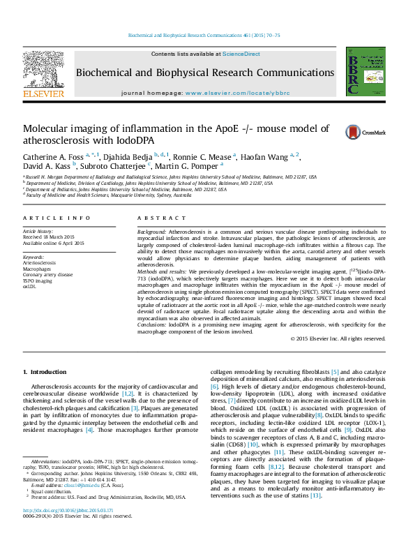 (PDF) Molecular Imaging of Inflammation in the ApoE -/- Mouse Model of ...