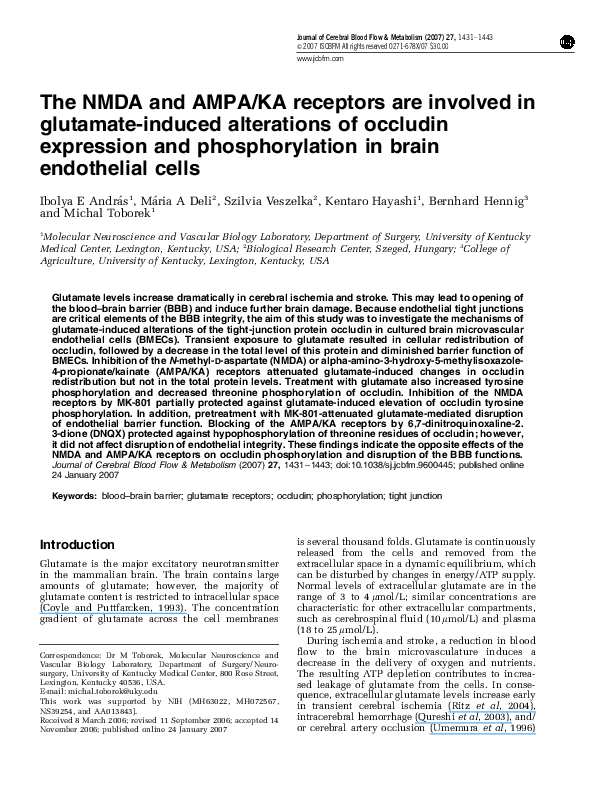 (PDF) The NMDA and AMPA/KA receptors are involved in glutamate-induced ...