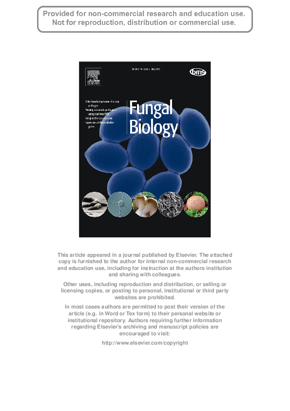 (PDF) Nitrogen content, amino acid composition and digestibility of ...