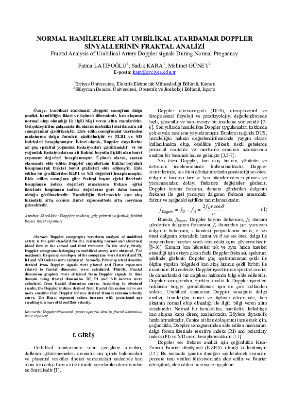 Pregnancy essay example image