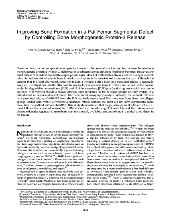(PDF) Improving bone formation in a rat femur segmental defect by ...