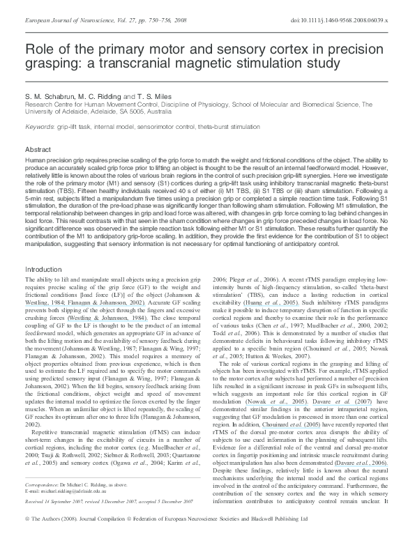 (PDF) Role of the primary motor and sensory cortex in precision ...
