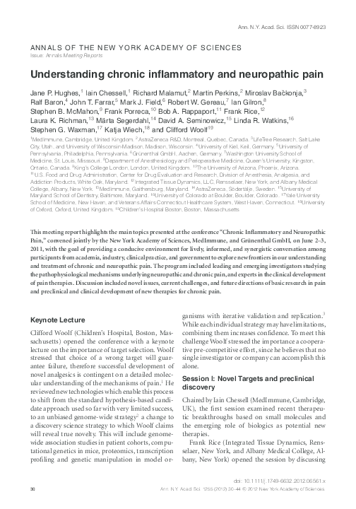 (PDF) Understanding chronic inflammatory and neuropathic pain