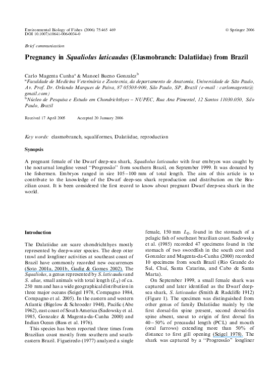 (PDF) Pregnancy in Squaliolus laticaudus (Elasmobranch Dalatiidae