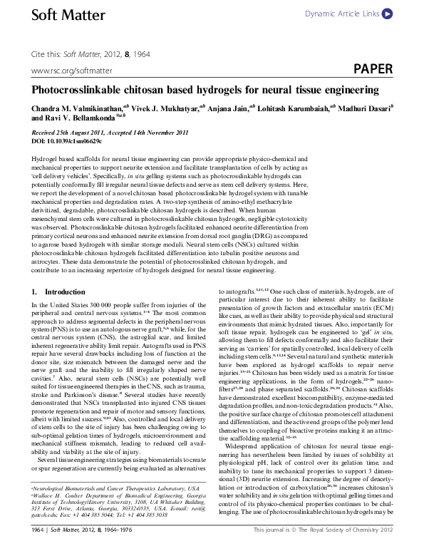 Where is nervous tissue found image