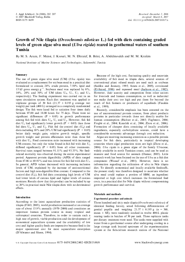 Azaza essay 04 picture