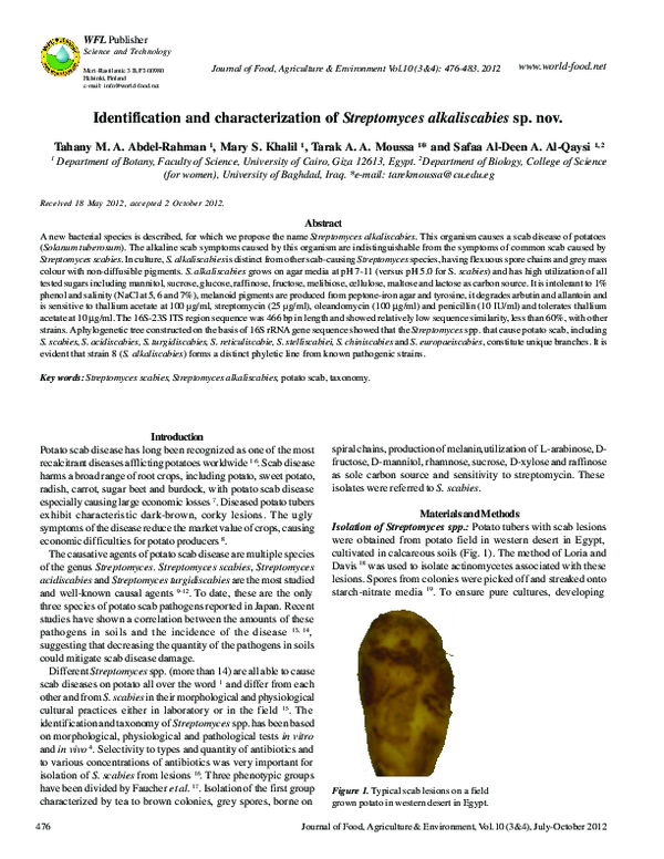 (PDF) Identification and characterization of Streptococcus thermophilus ...