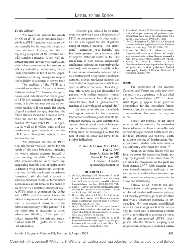 Digestive system essay example picture