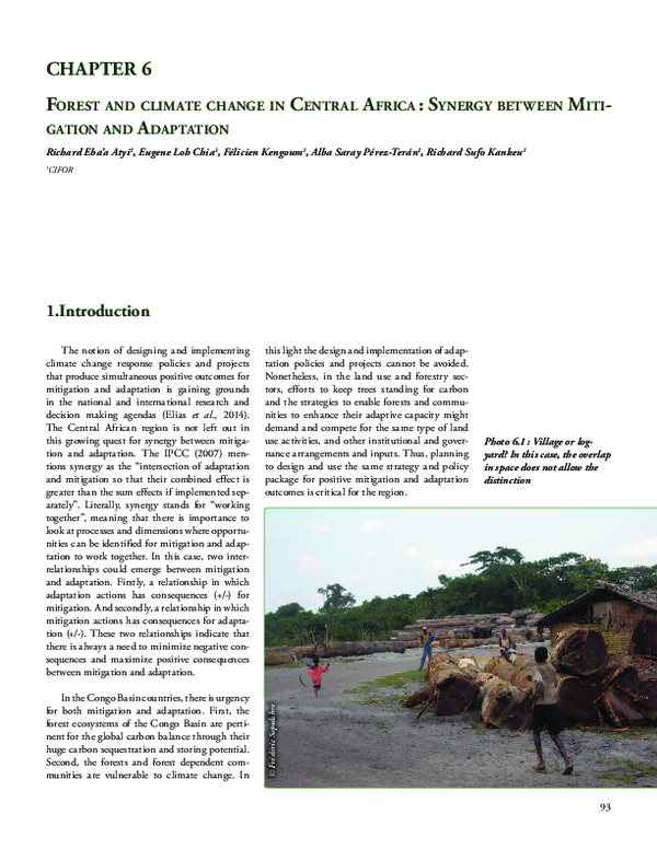 (PDF) Forest and climate change in Central Africa: Synergy between ...