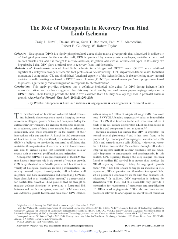 (PDF) The role of osteopontin in recovery from hind limb ischemia